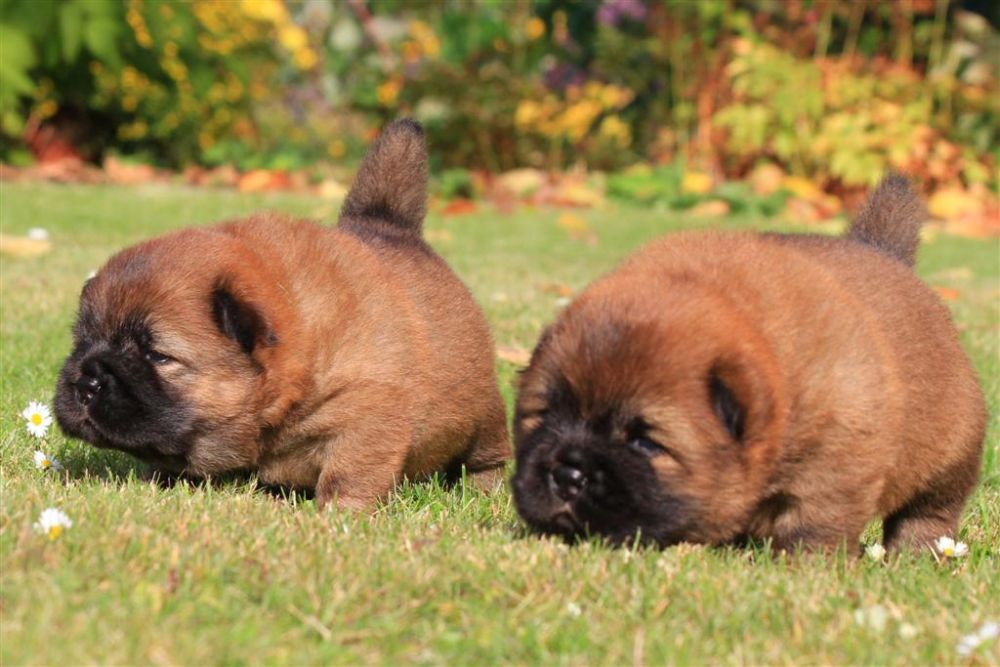 k-wurf-tag-18_1312_neu