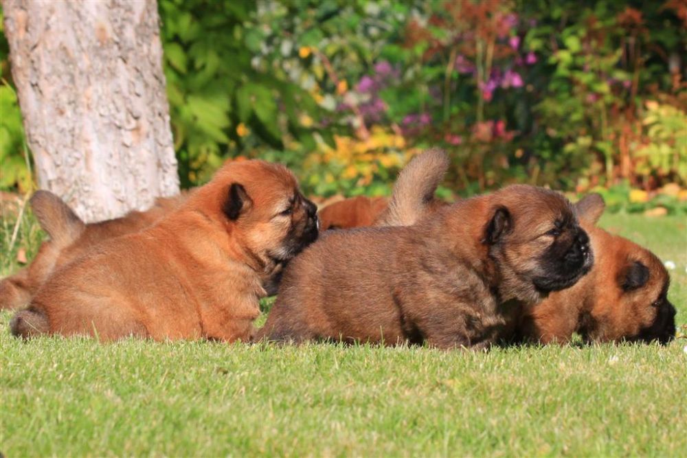 k-wurf-tag-18_1315_neu