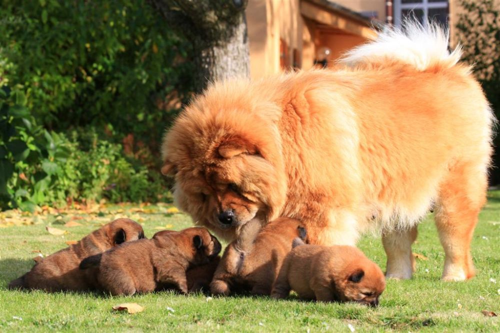 k-wurf-tag-18_1333_neu