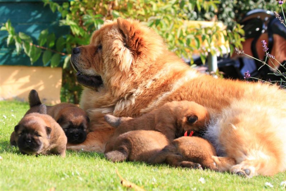 k-wurf-tag-18_1344_neu