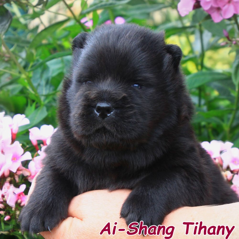 01_tihany_17-tage_0734-kopie