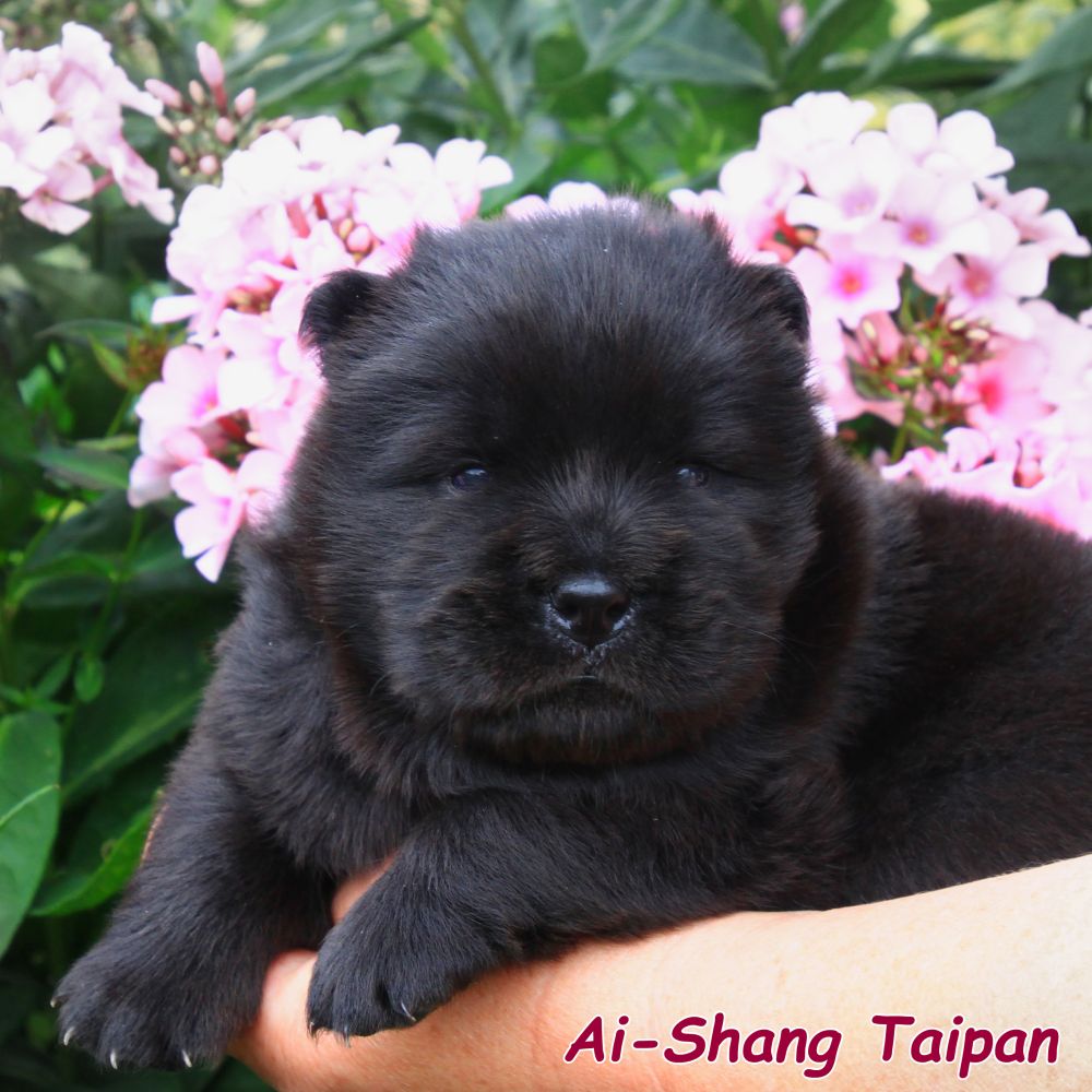 02_taipan_17tage_0744-kopie