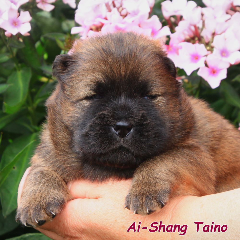 03_taino_17-tage_0771-kopie