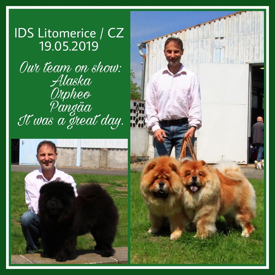 cacib litomerice